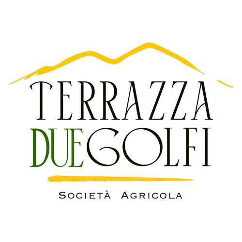 terrazzaduegolfi